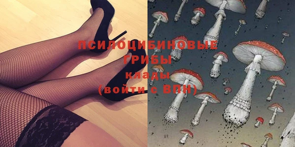твердый Алексин