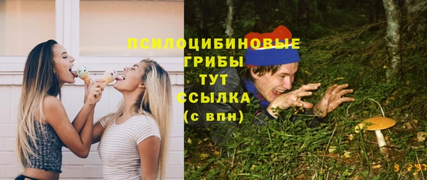 твердый Алексин