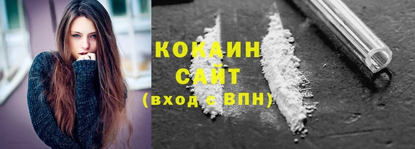 твердый Алексин