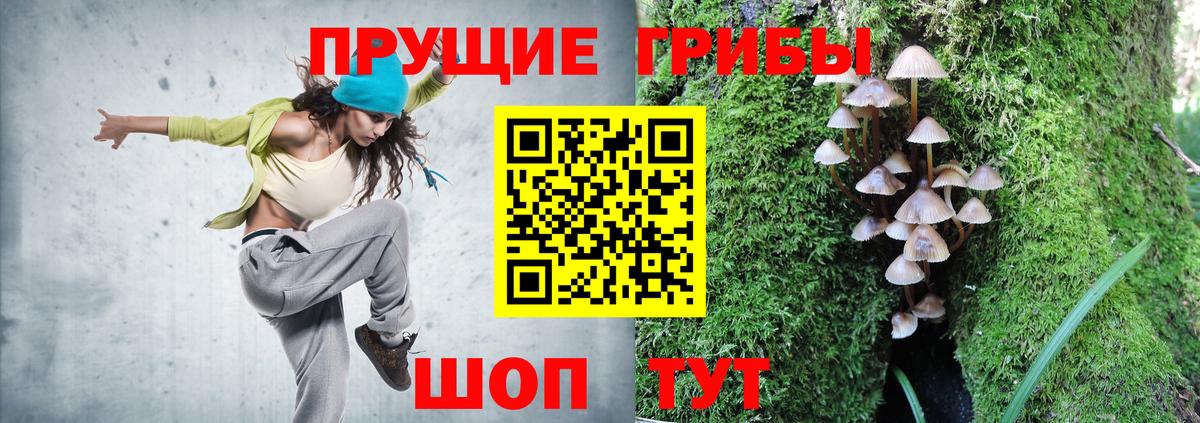 купить  сайты  Псилоцибиновые грибы мухоморы  Псилоцибиновые грибы Cubensis  Вход с VPN  Карабулак 